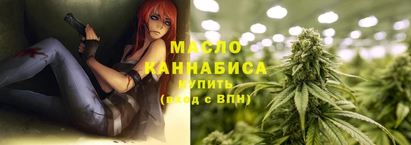 СК Алексин