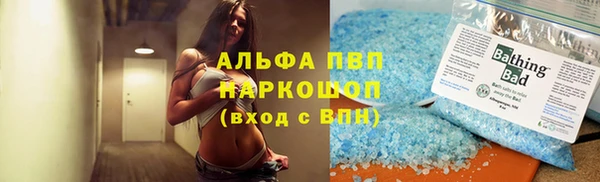 СК Алексин