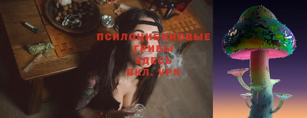 СК Алексин