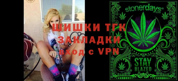 СК Алексин
