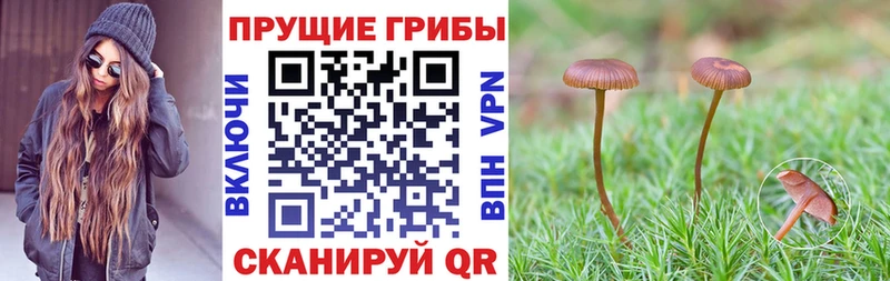 Галлюциногенные грибы ЛСД Новая Ляля
